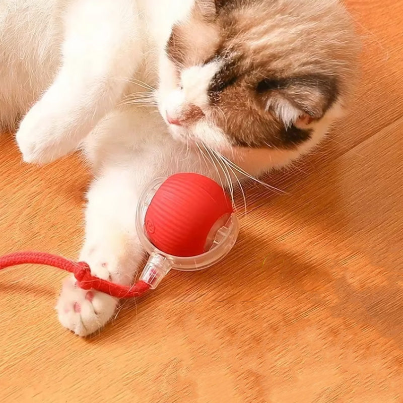 צעצוע קופצני עבור חתולים פעילים וסקרנים 