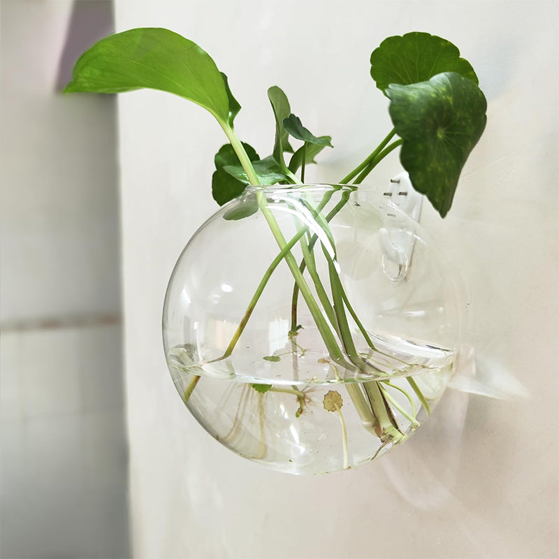 הדגישו את הצמחים שלכם על הקירות שלכם, בלי לקדוח 