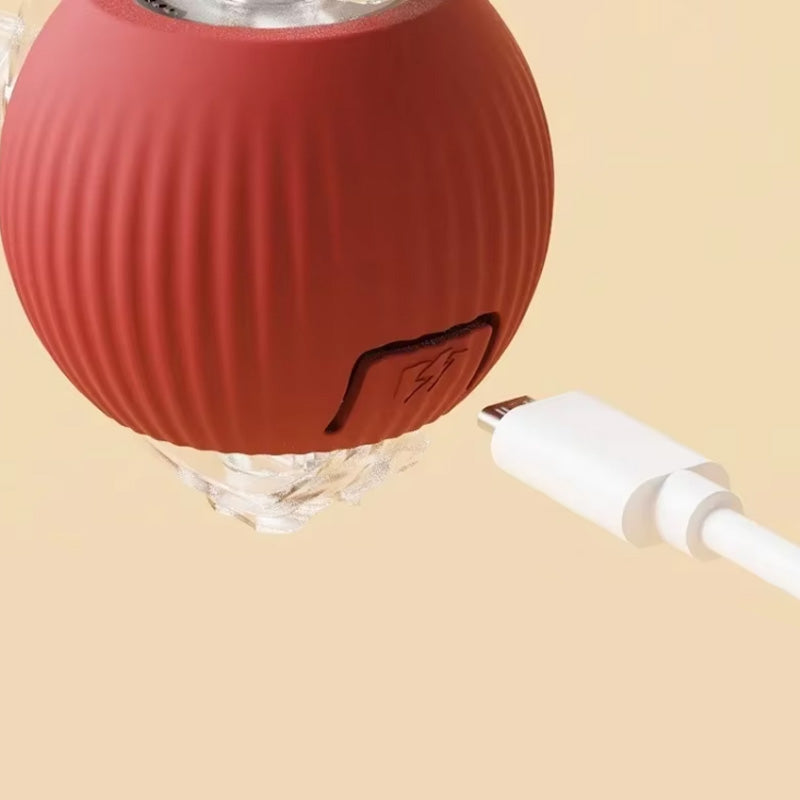 צעצוע קופצני עבור חתולים פעילים וסקרנים 