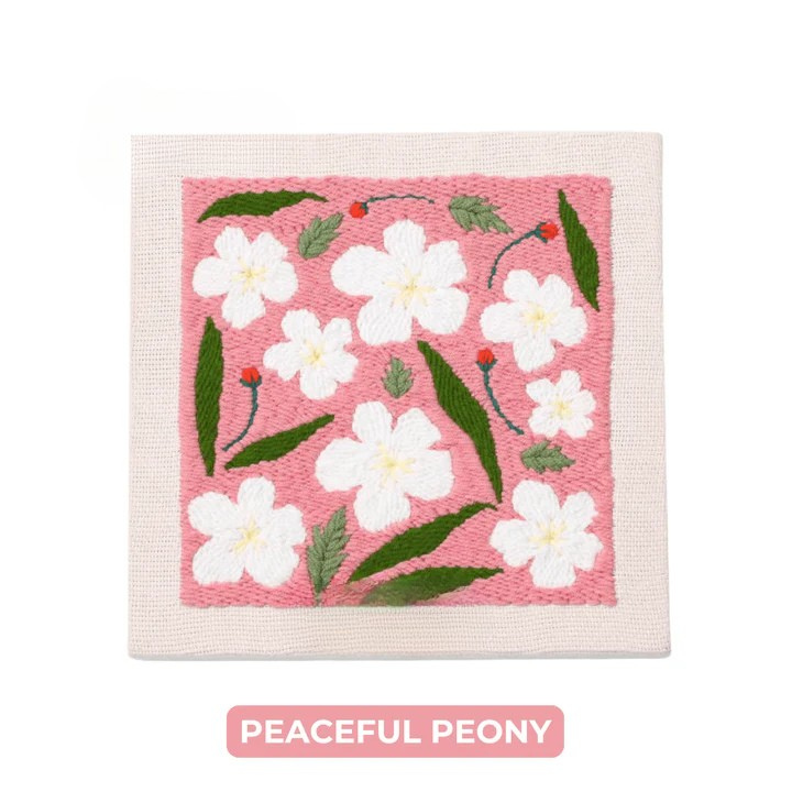 Kit de bordado punch needle 