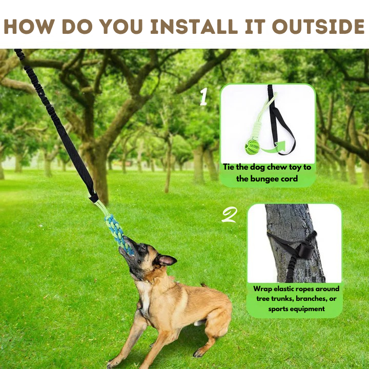 ChaseBall Jouet interactif roulant pour chien